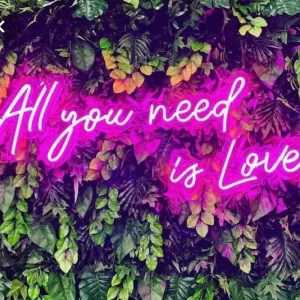 Neon Sign Hire – All You Need is Love